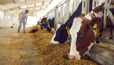 Povinnosť registrácie chovu hospodárskych zvierad do 9.4.2025