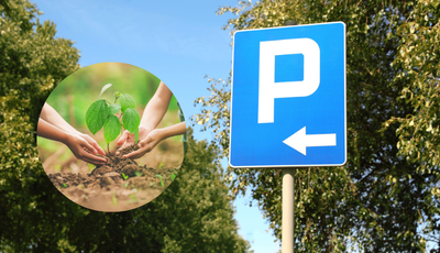 V meste prebieha obnova infraštruktúry, vyrúbané stromy nahradíme novou výsadbou